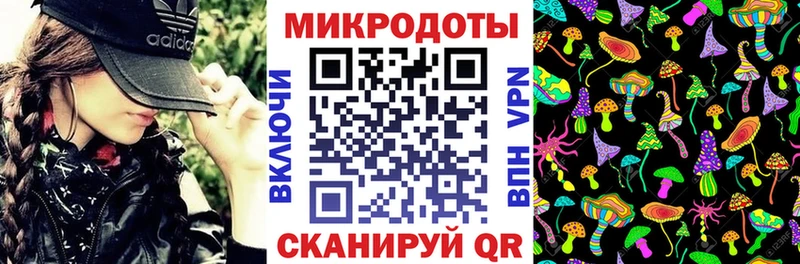 Галлюциногенные грибы Psilocybine cubensis Билибино
